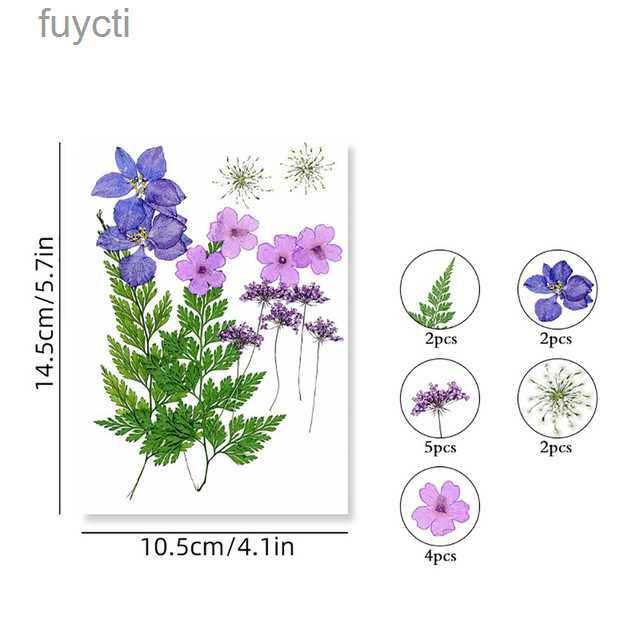 15 morceaux de violet