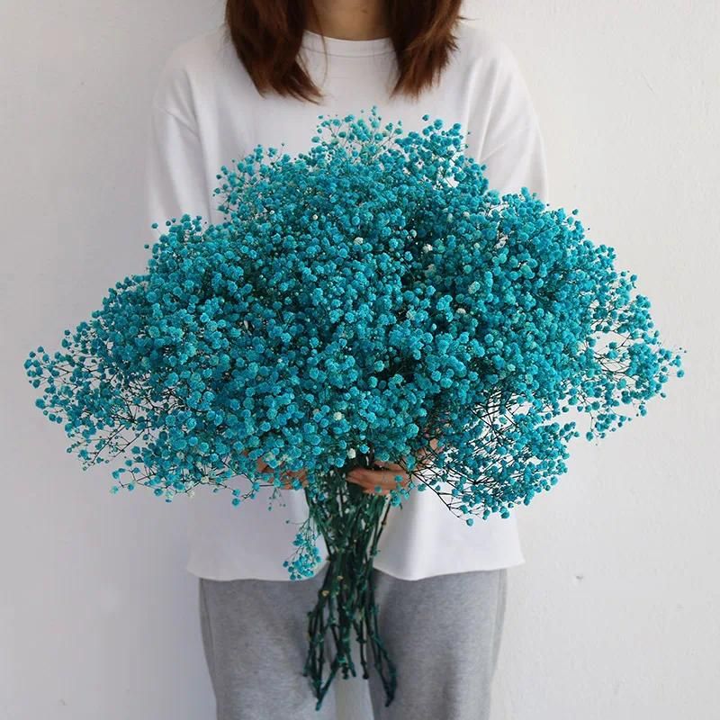 Sky Blue Gypsophila