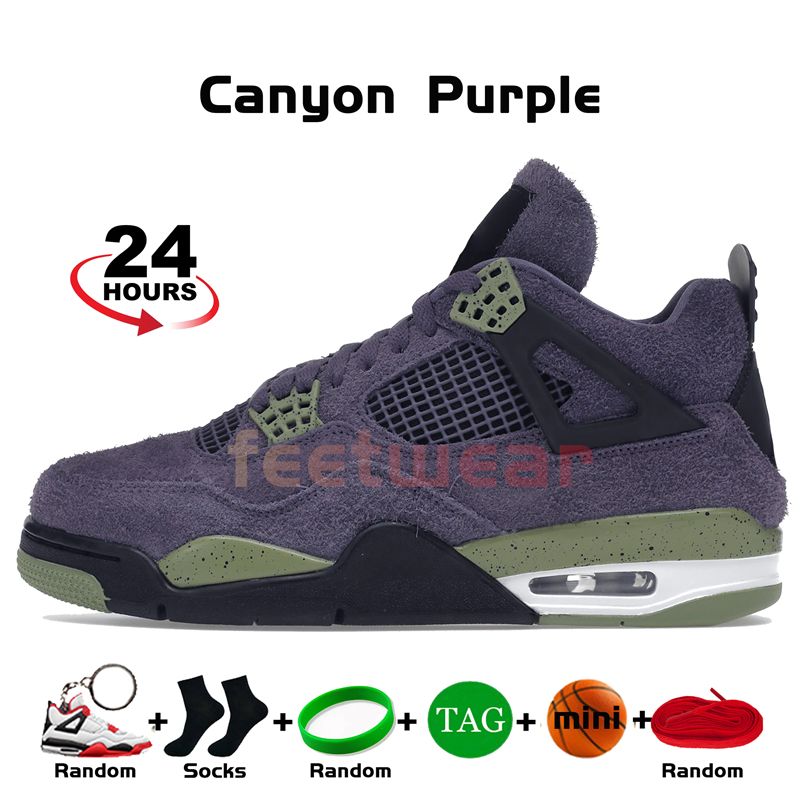 13 Canyon Purple