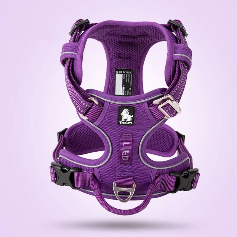 Фиолетовый Dog Harness