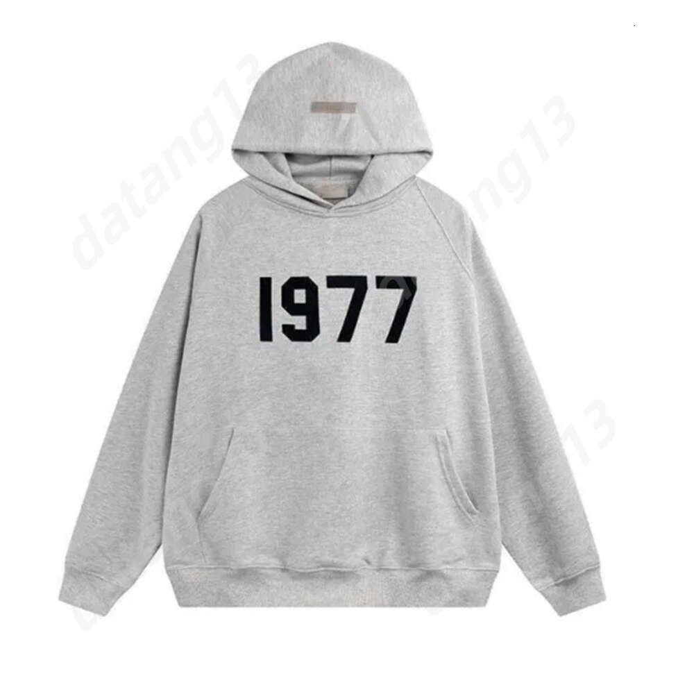 hoodie-1977-grå