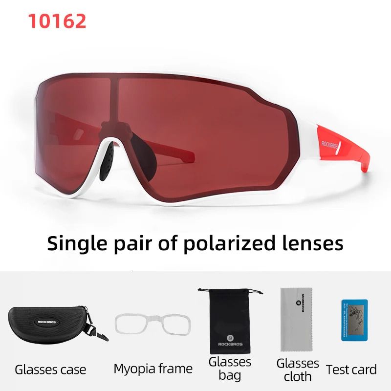 10162 Polarized