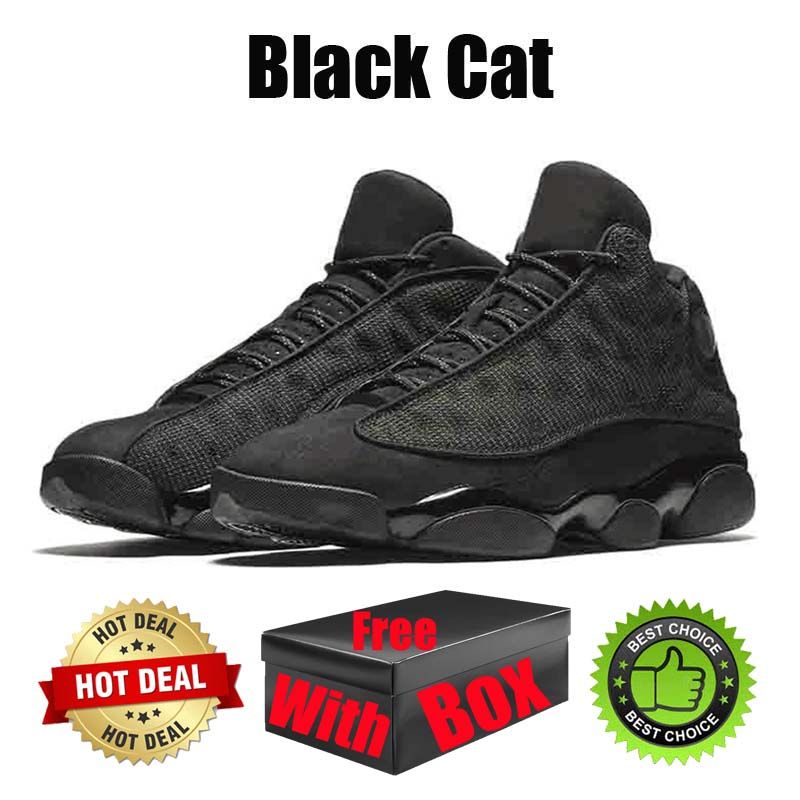 #33 svart katt