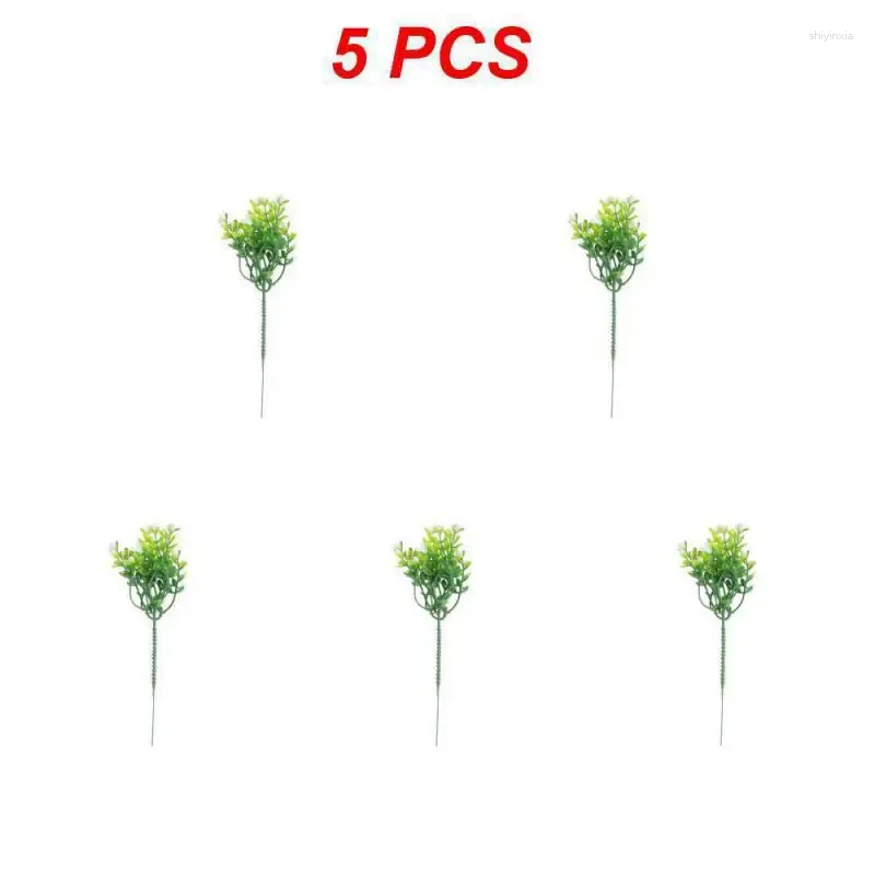 5pcs 01