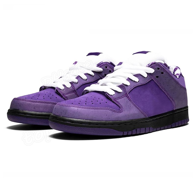 B50 36-45 Purple