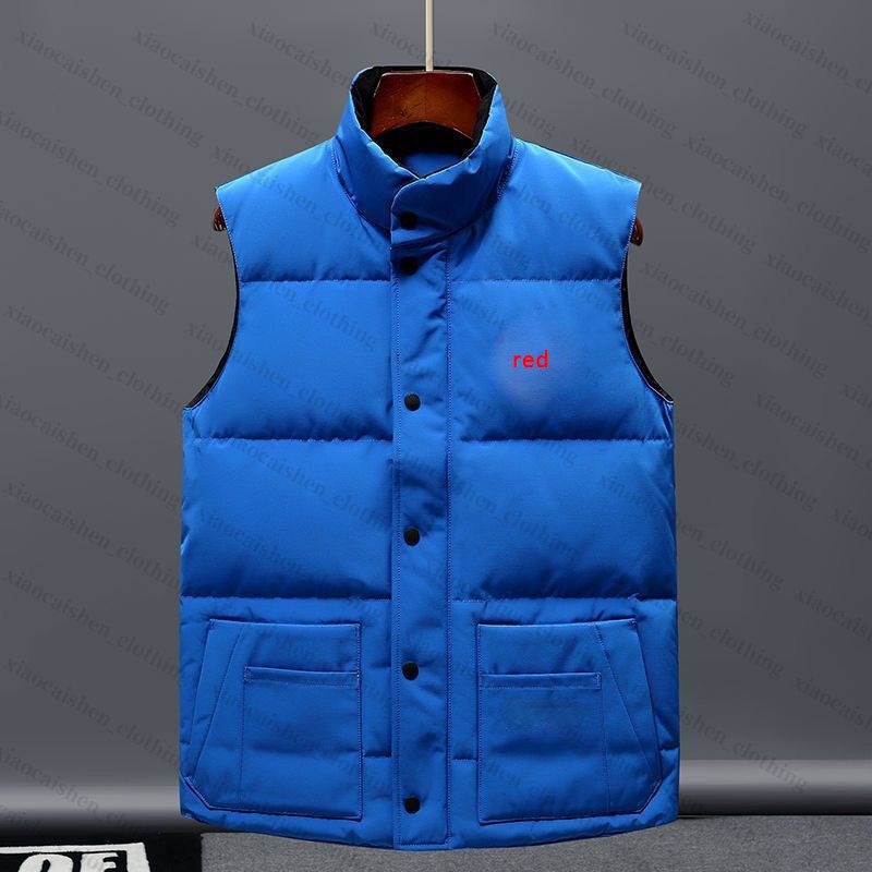 VEST3