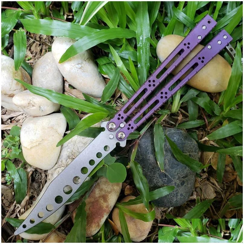 C---Violet Titanium Training