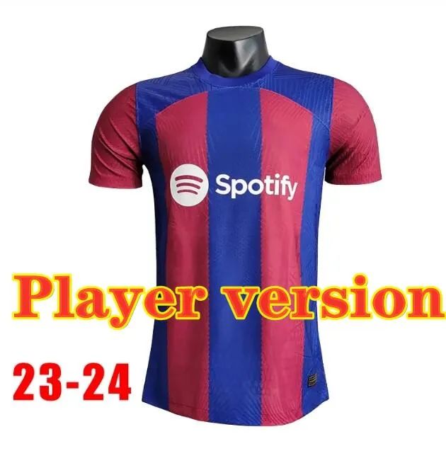 Player version6