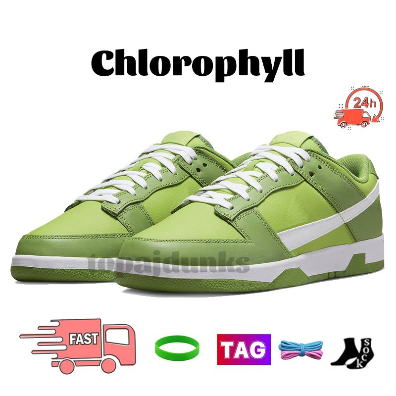 33 Chlorofyl