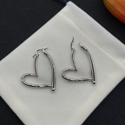 Silver earrings-small