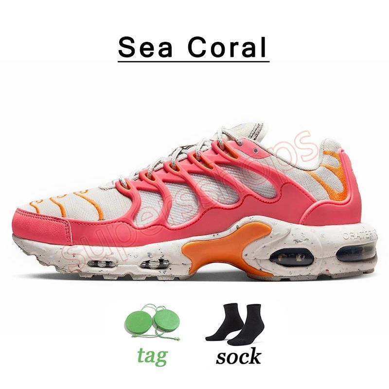 B43 36-40 Terrascape Sea Coral-1