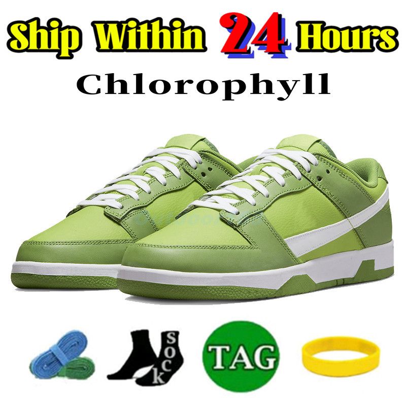 19 chlorofyl