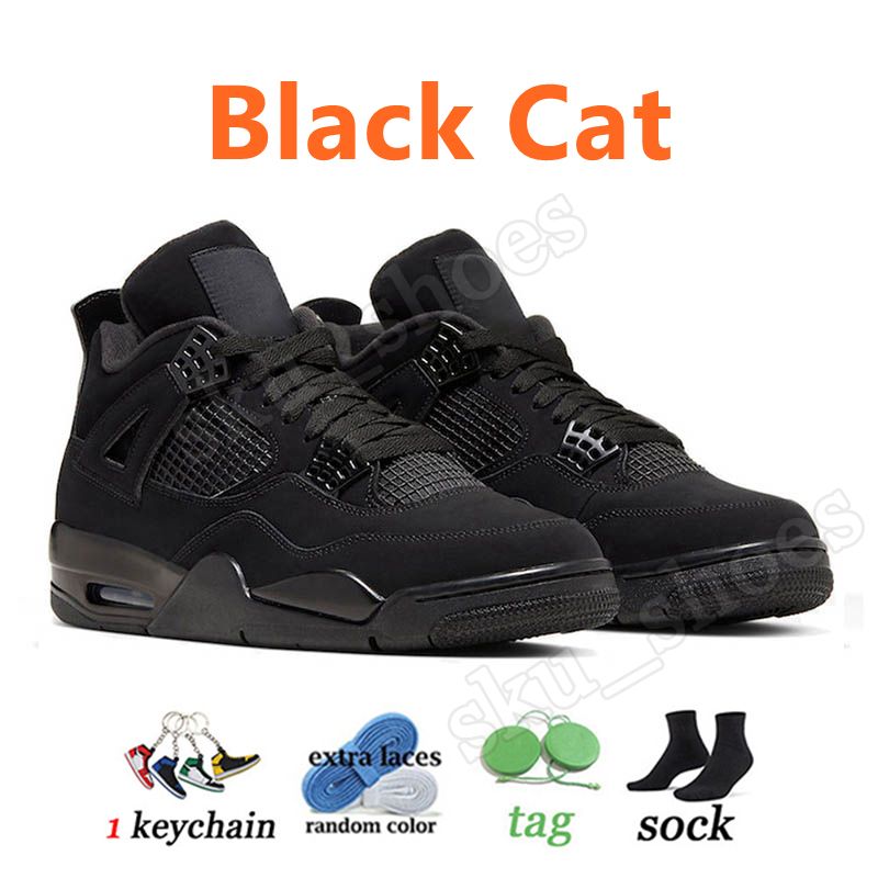 A2 Schwarze Katze 36-47