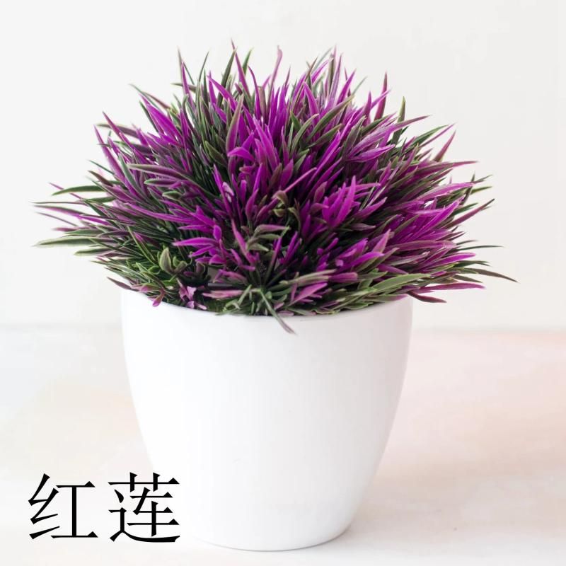 Fengweicao Purplered