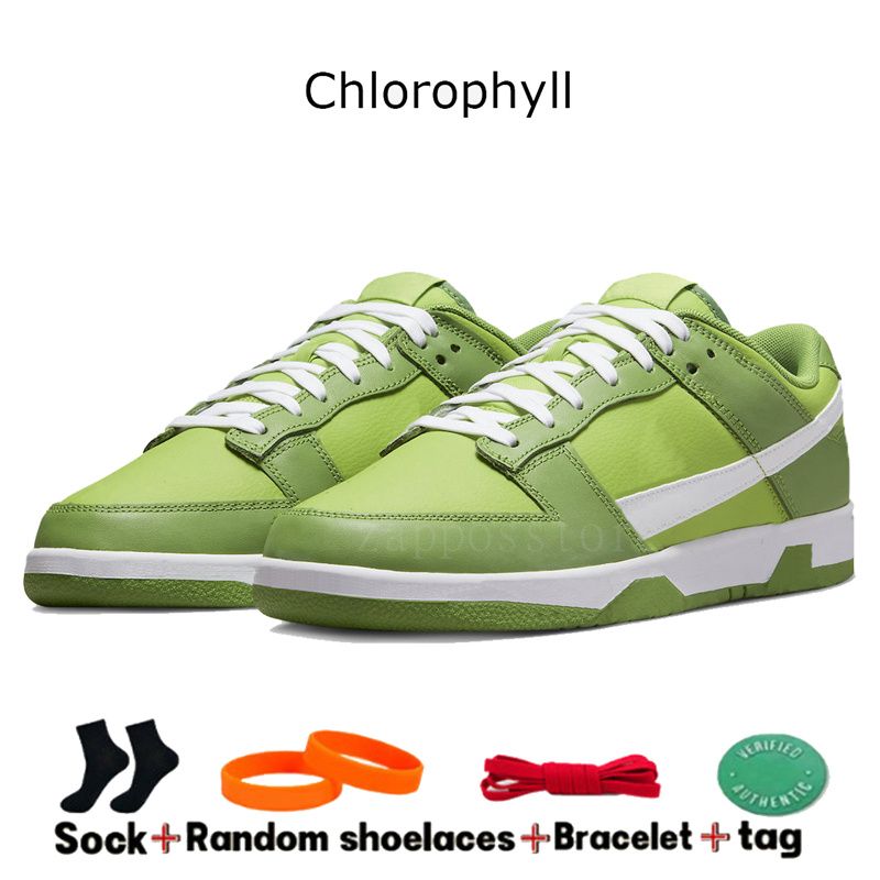 29 Chlorophylle