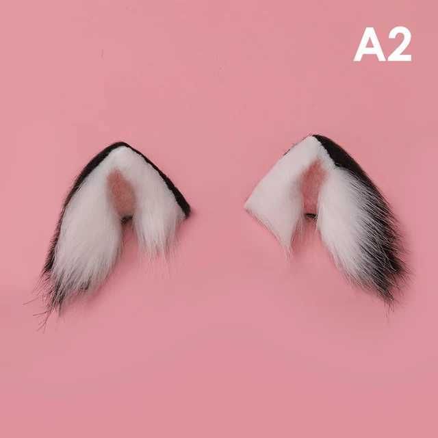 A24