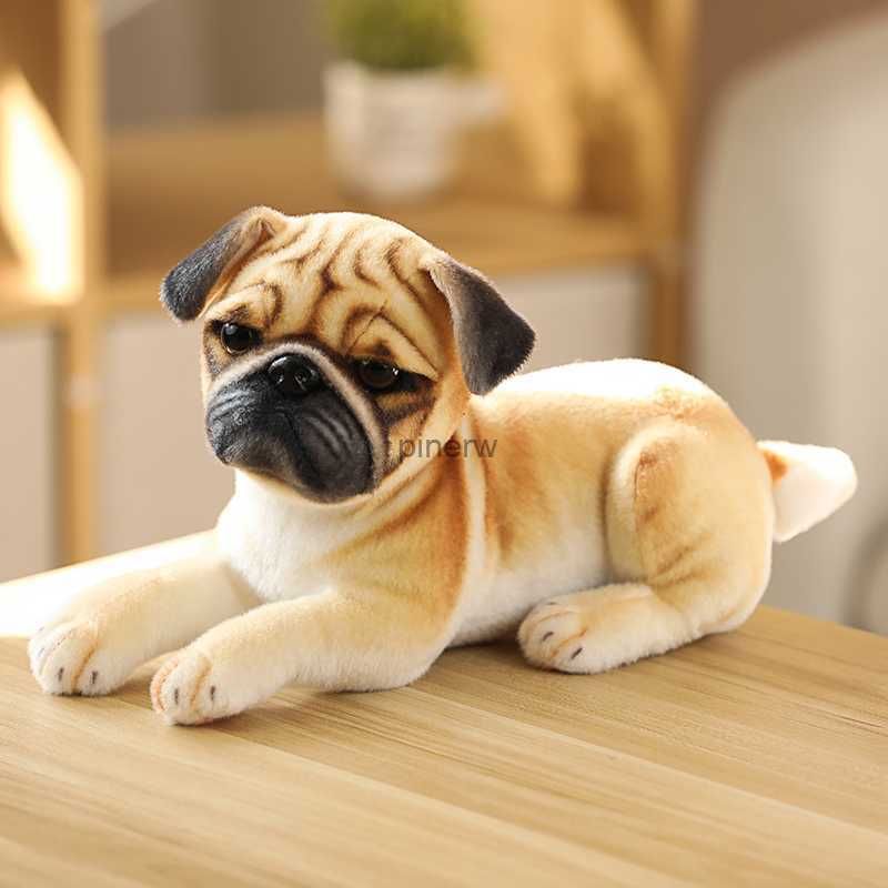 shar pei