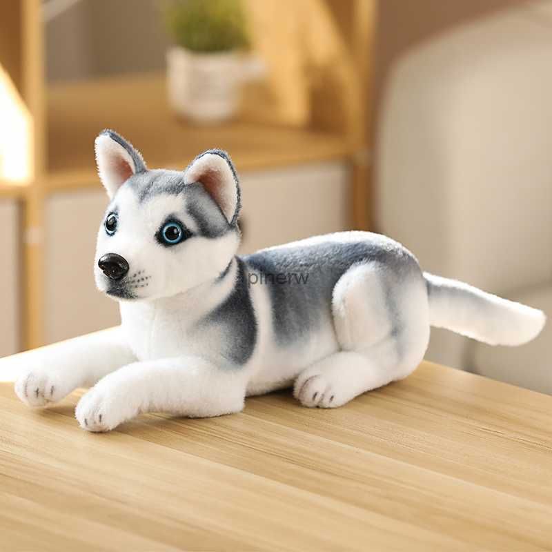 husky