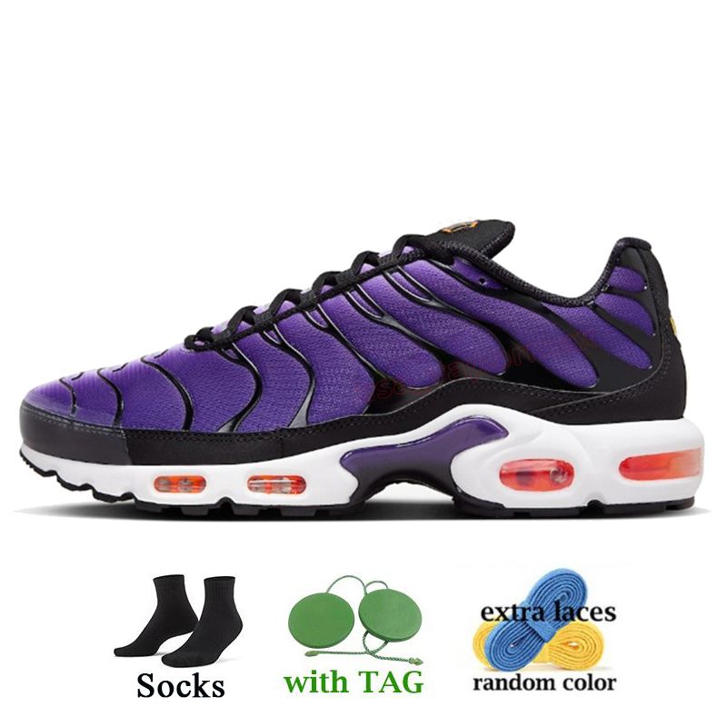 I33 Voltage Purple 40-46