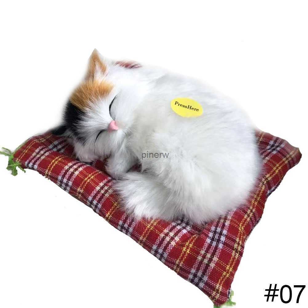 Cat 07