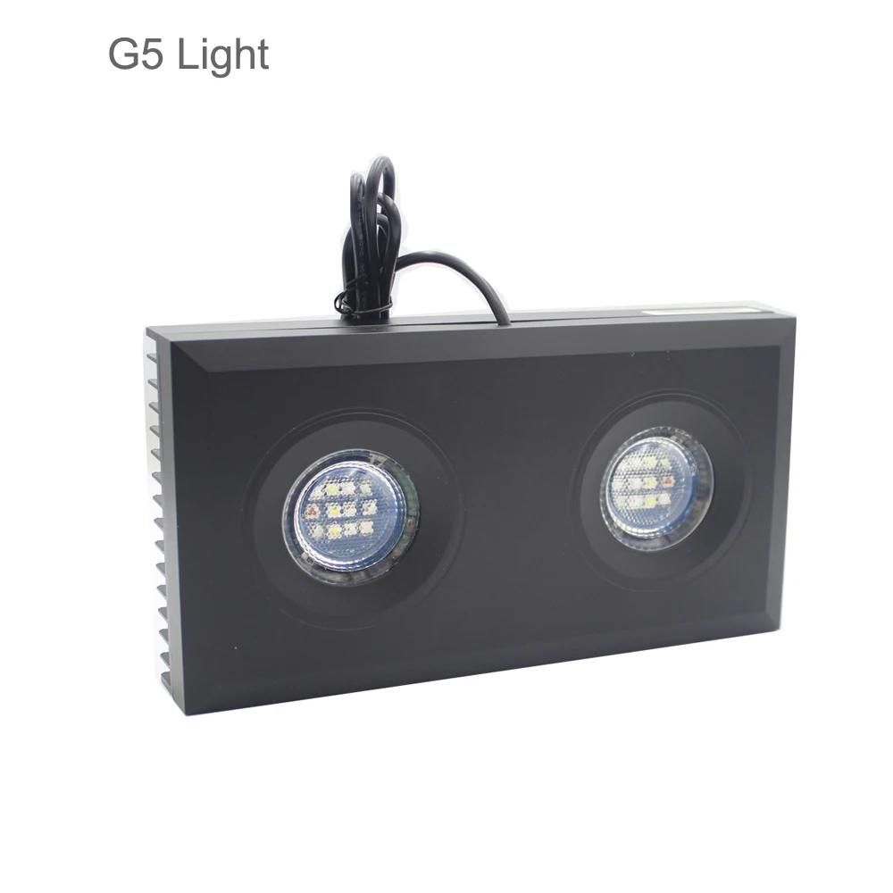 Color:G5 light only