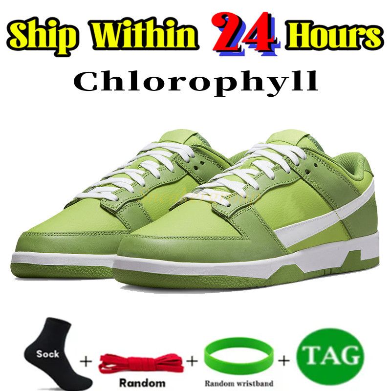 21chlorophyll