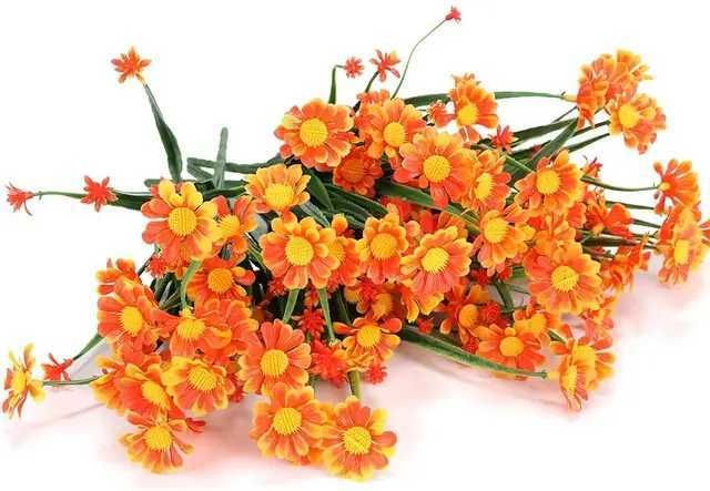 Daisy Orange-5 Pcs