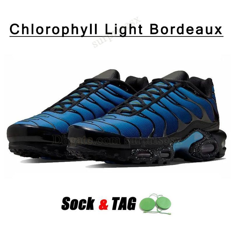 A51 40-46 Chlorophyll Light Bordeaux