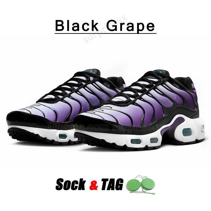 A67 40-46 Black Grape