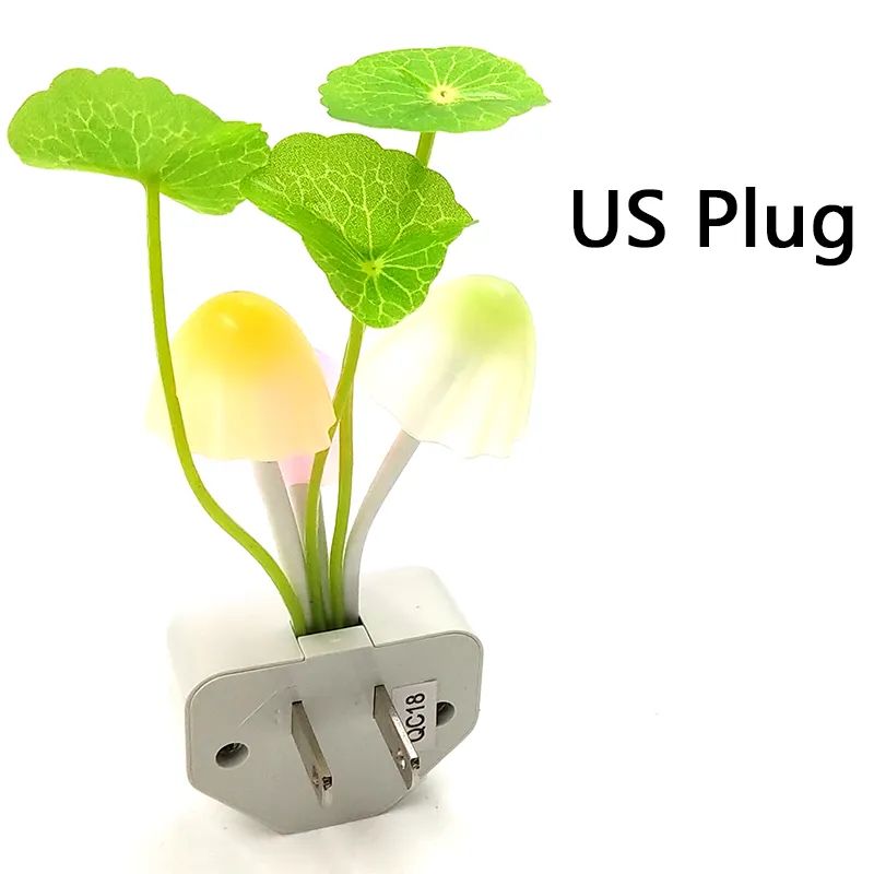 US plug