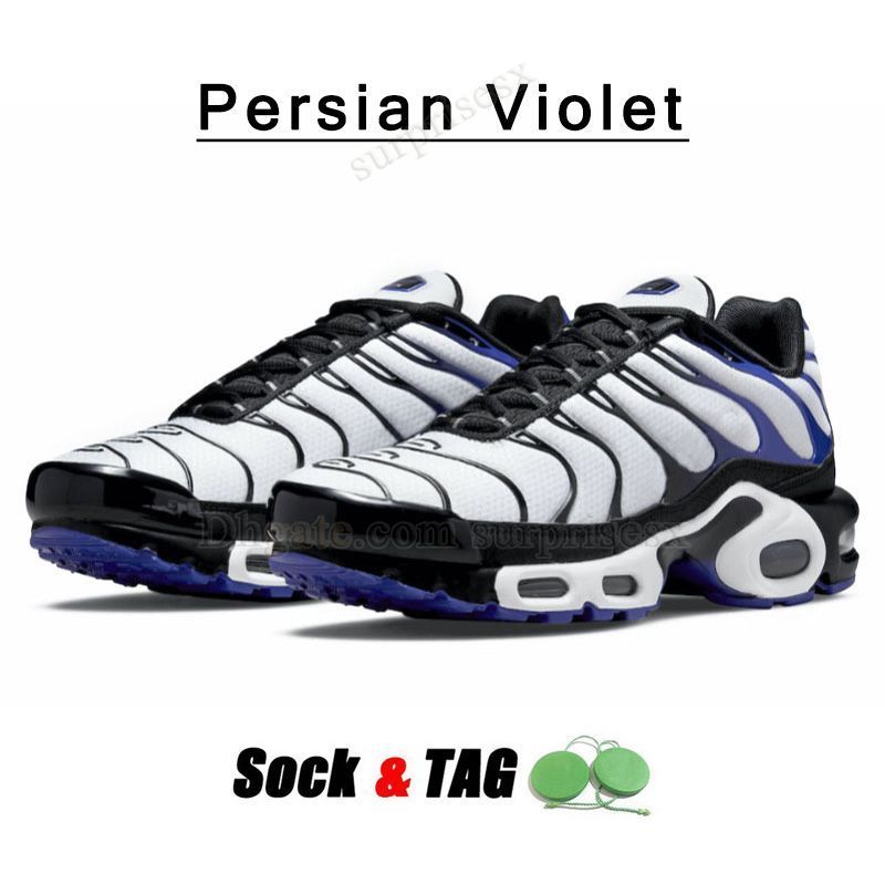 A63 40-46 Persian Violet