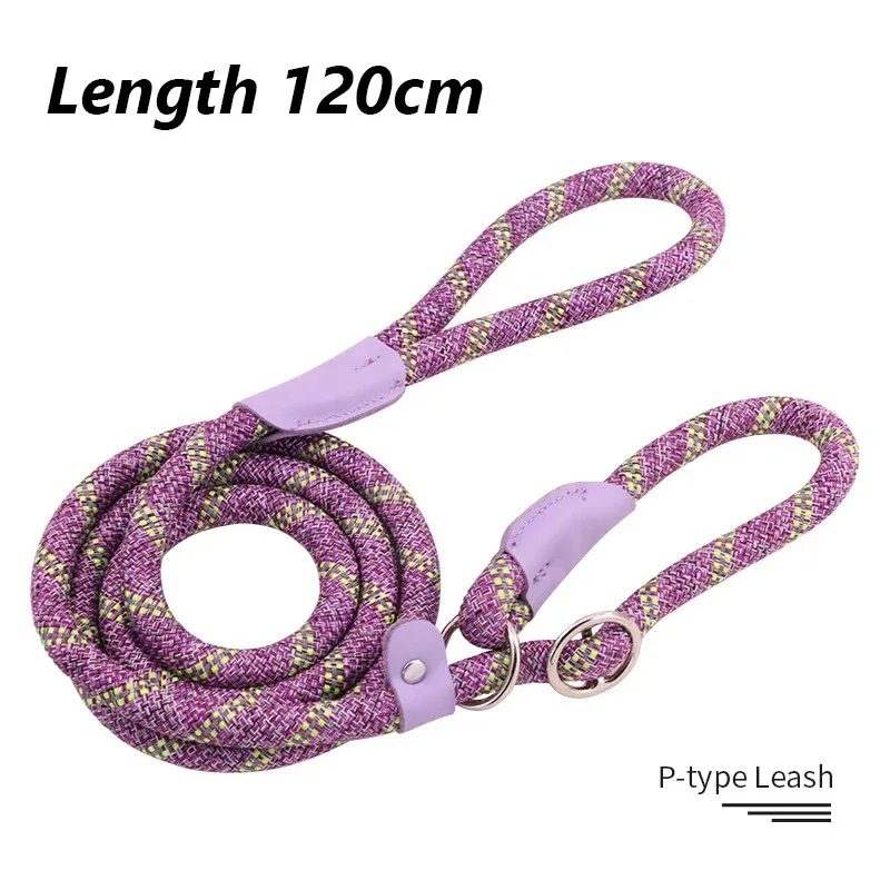 120 Purple
