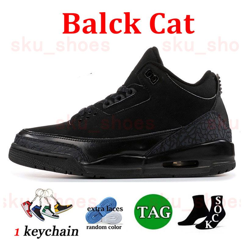 D19 Balck Cat