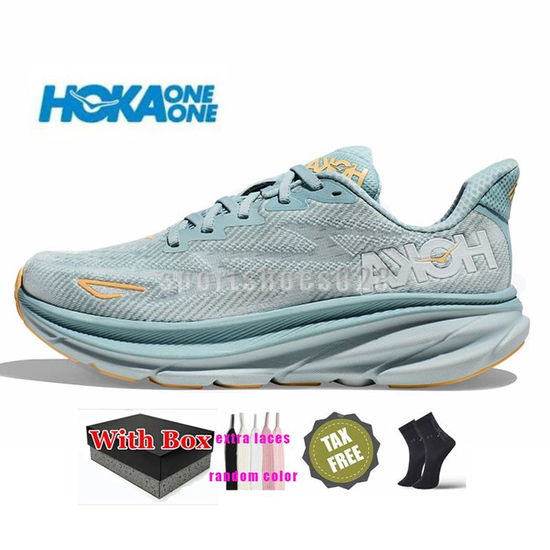 H17 Clifton 9 Flux de glace 36-47