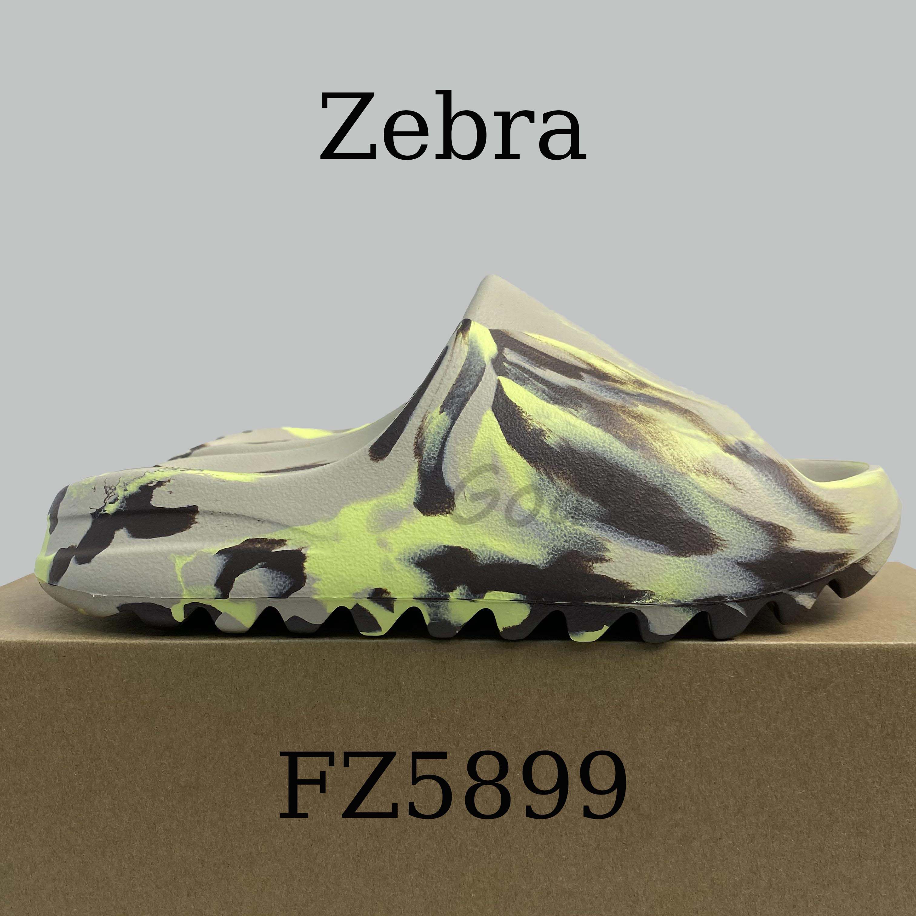 FZ5899 Zebra