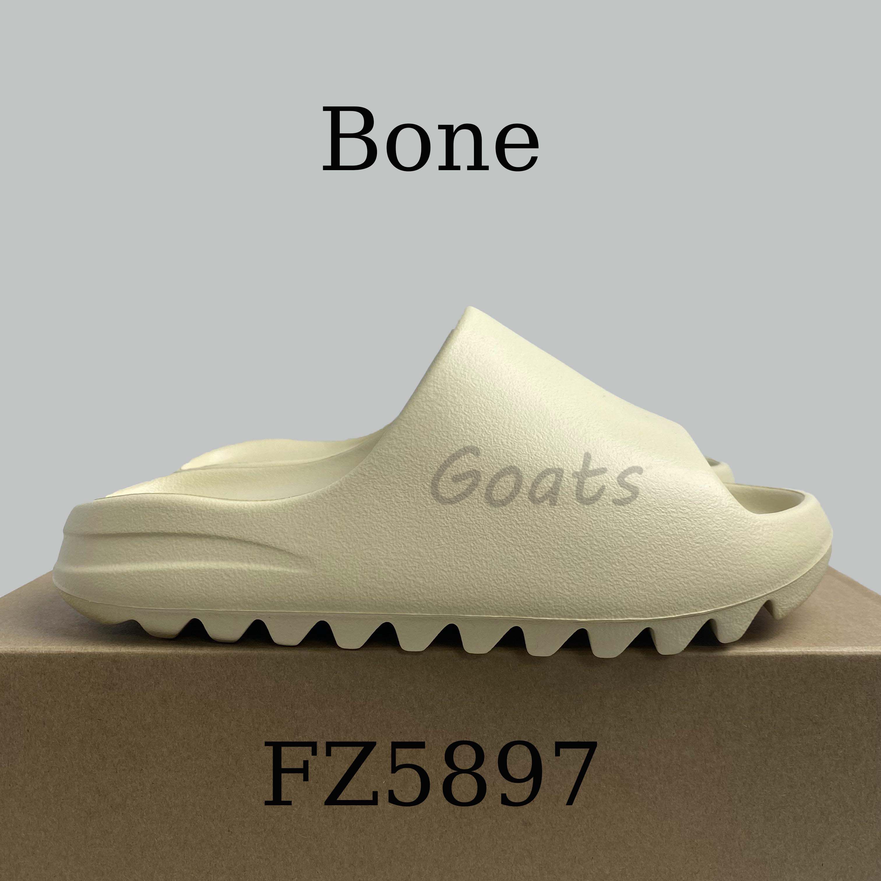 FZ5897 Bone