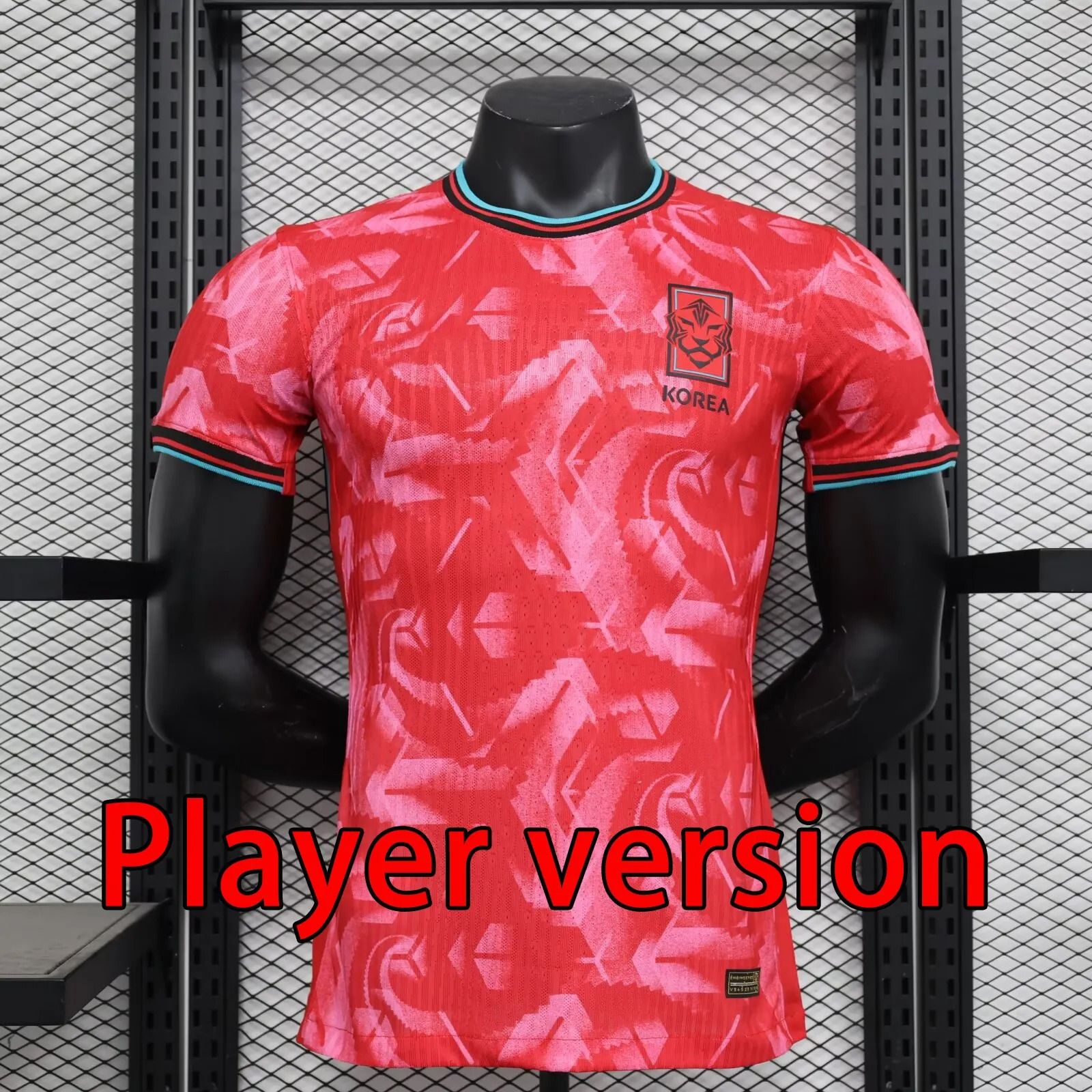 2024 player version