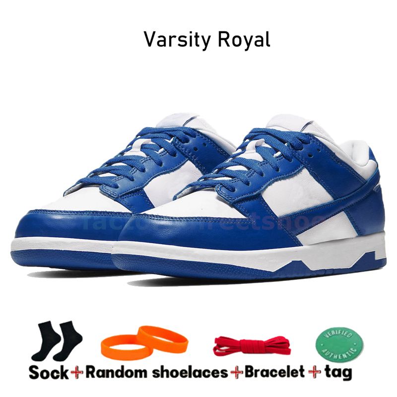 49 Varsity Royal