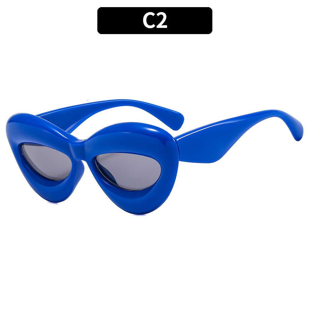 C2 Blue Frame Gray Sheet-As Shown in F