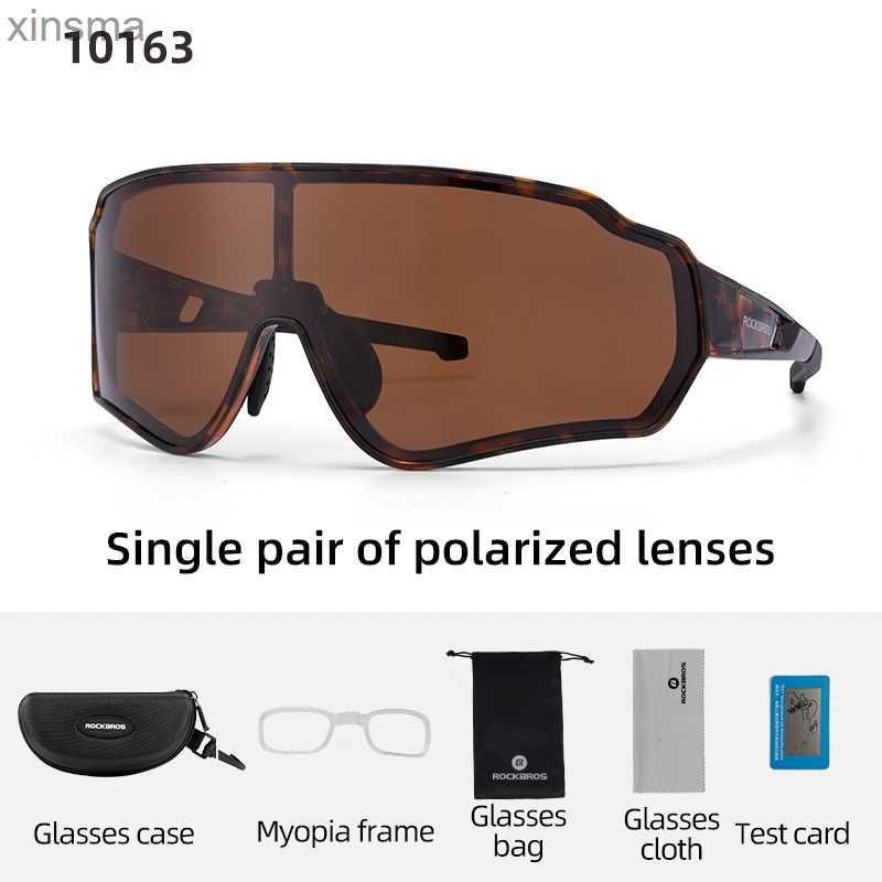 10163 Polarized