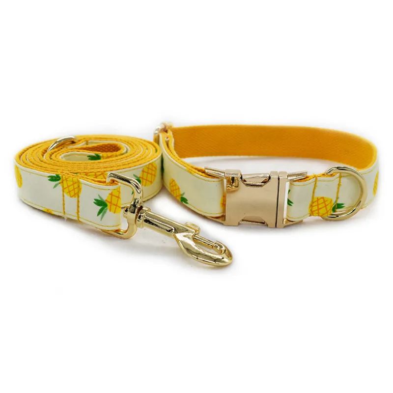 Color:collar leash set