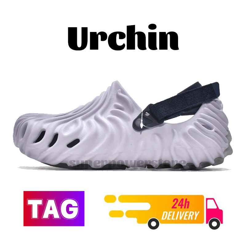 09 Urchin