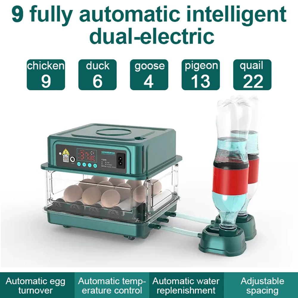 Cor: 9 ovos Tamanho: plugue AU 220v DC 12V