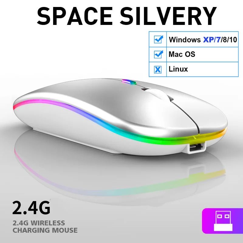 Kolor: 2,4G Sliver