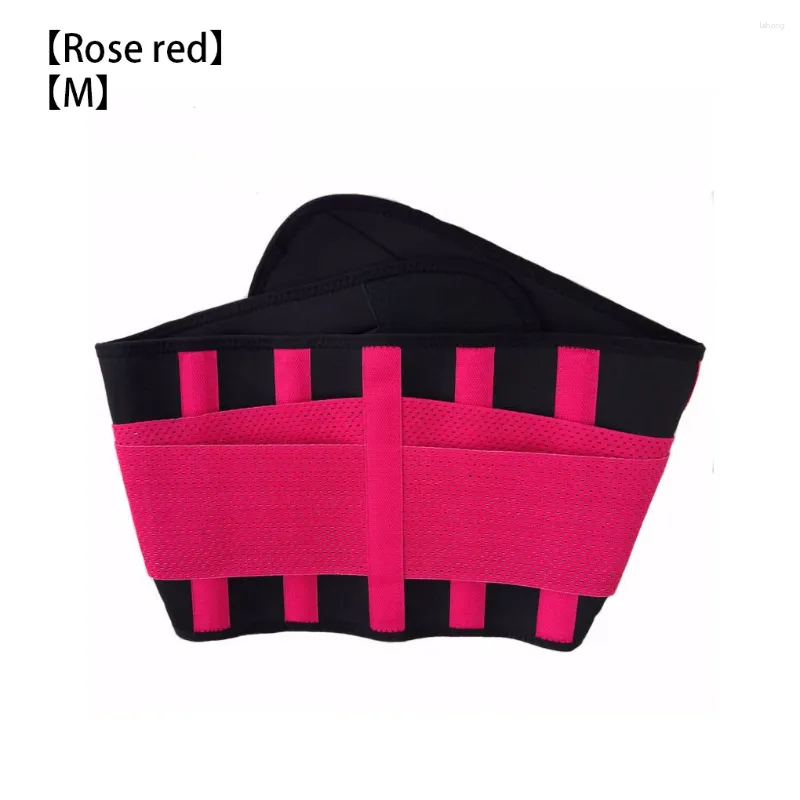 rose red M