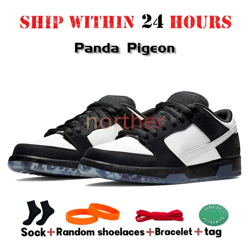 36 Panda Pigeon