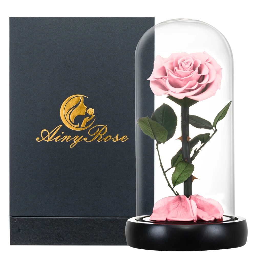 Pink Rose with Box