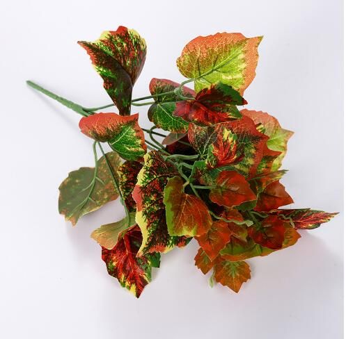 A01 Begonia vermelha