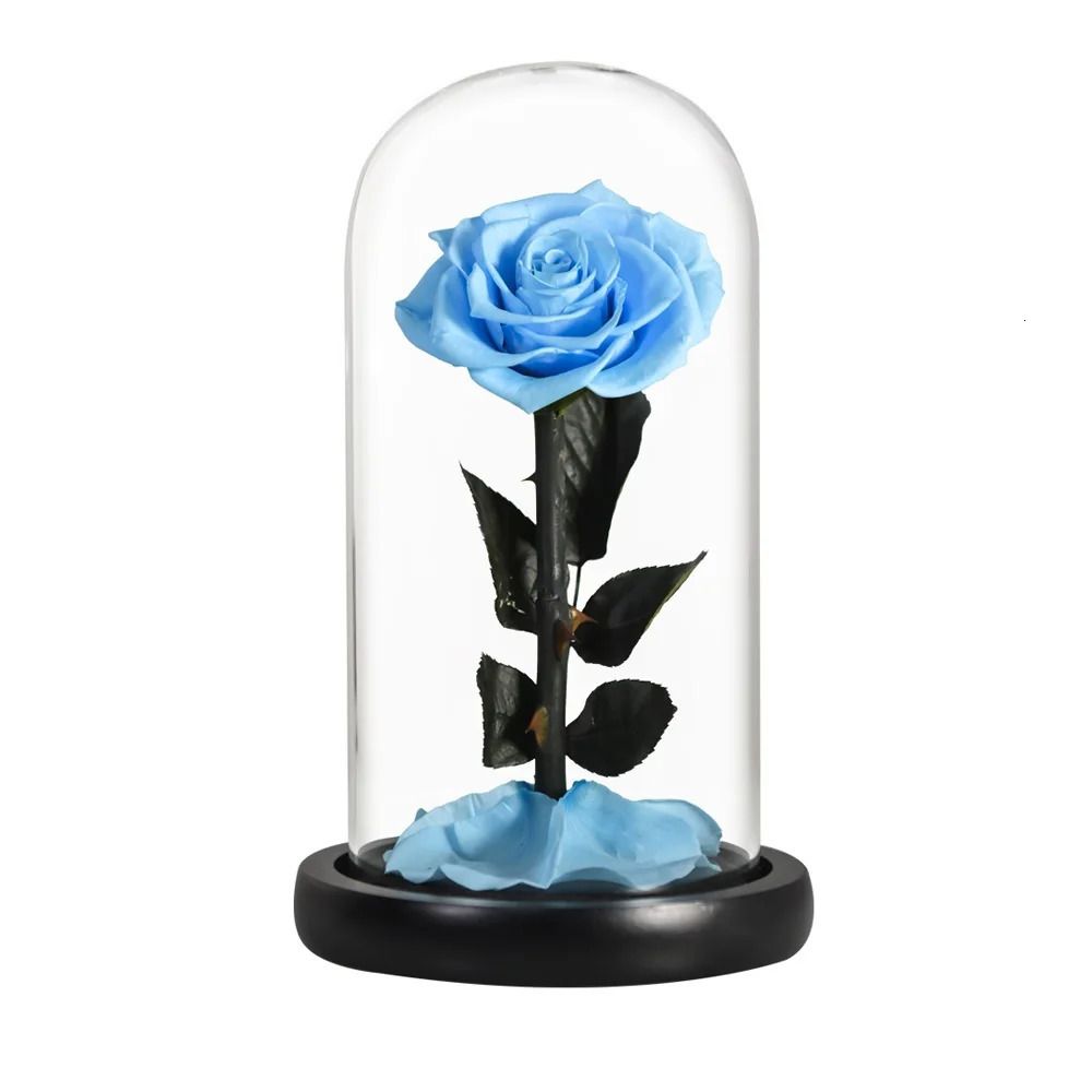 Hellblaue Rose