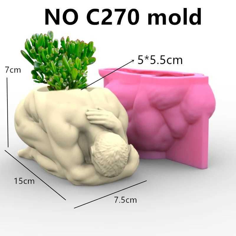 No C270 Mold